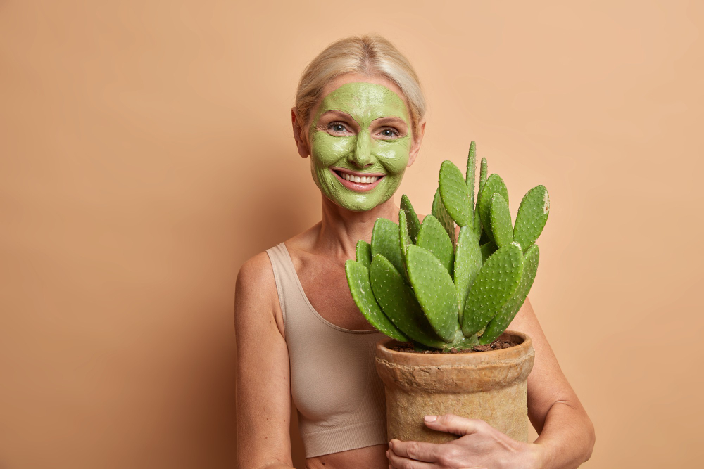 A lady holding a pot of cactus