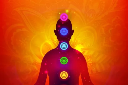 The 7 main chakras